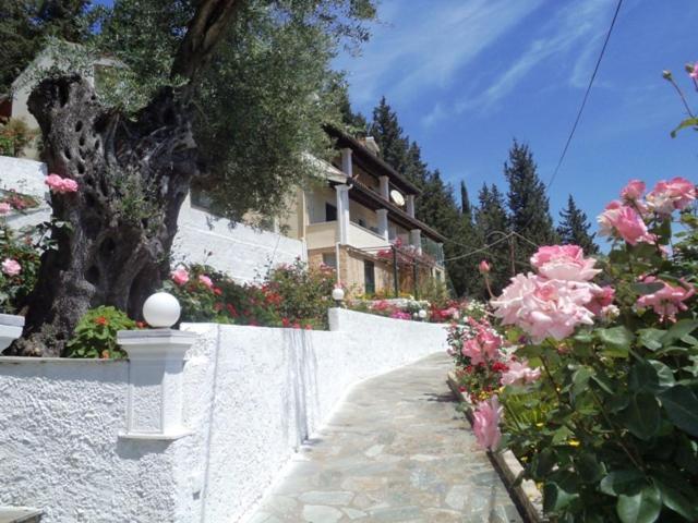 Apartament Nikolas Sea View Agnibay